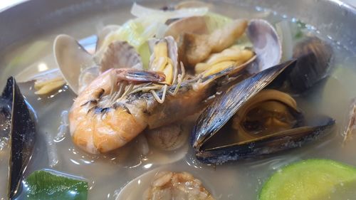 High angle view of fish in bowl