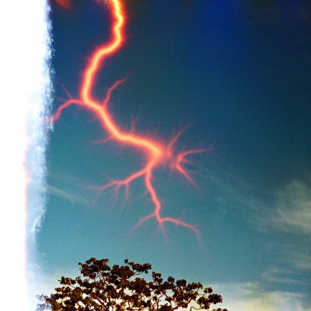 no people, low angle view, power in nature, outdoors, nature, tree, beauty in nature, sky, lightning, natural phenomenon, day