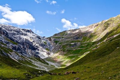 Scenic view of mountains against sky with cattle grazing on field