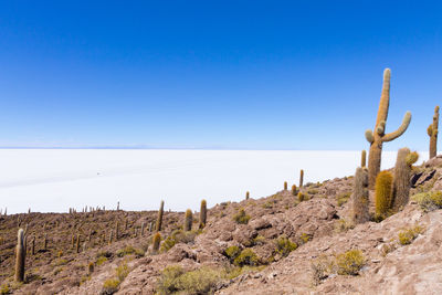 Scenic view of sea against clear blue sky