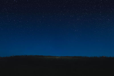 Low angle view of silhouette trees against star field at night