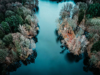 High angle view of trees by lake