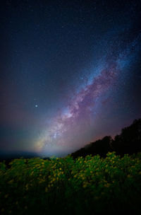 Low angle view of star field against sky at night