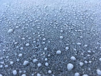 Close-up of snowflakes on snow