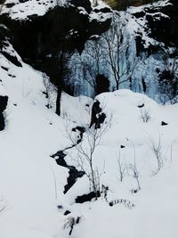 Scenic view of snow covered landscape