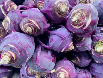 Raw purple kohlrabi vegetables at farmers market 