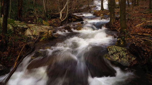 Stream flowing through rocks in forest