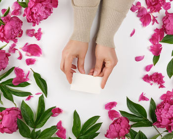 High angle view of hands holding placard amidst pink flowers over white background