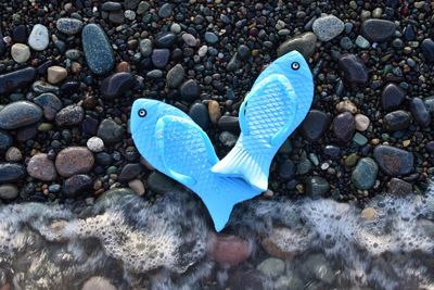 Blue flip-flops on shore at beach