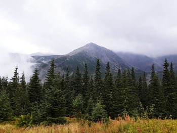 Scenic view of mountains against cloudy sky
