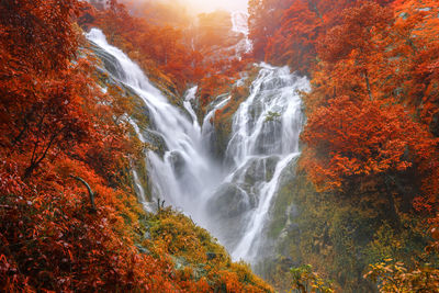 Scenic view of waterfall in forest during autumn