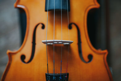 Close-up of violin