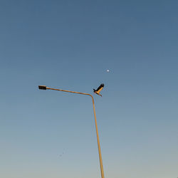 Low angle view of street light against sky