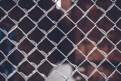 Close-up of chainlink fence