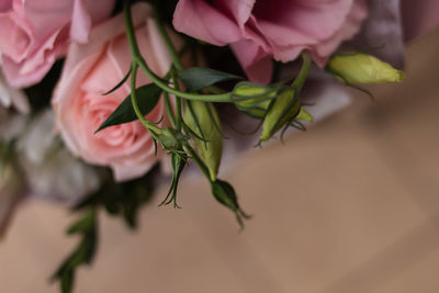 High angle view of rose bouquet