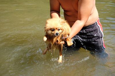 Midsection of woman with wet dog in water