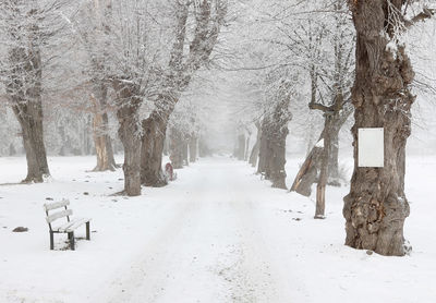 Scenic view of snow covered land