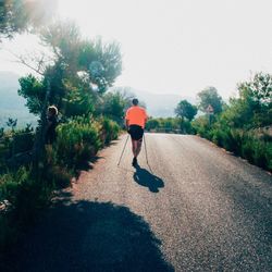 Rear view of woman walking on road against trees