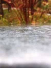 Close-up of wet surface