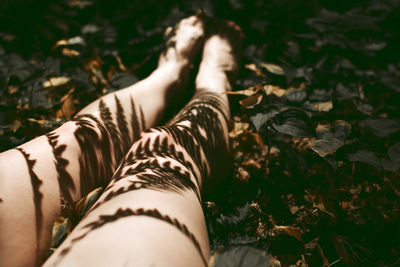 Low section of woman with shadow of leaves