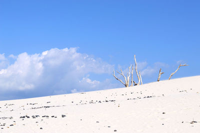 Scenic view of desert against blue sky