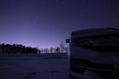 View of trees at night