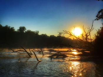 Silhouette trees by lake against clear sky during sunset