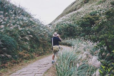 Rear view of woman walking on walkway while photographing plants