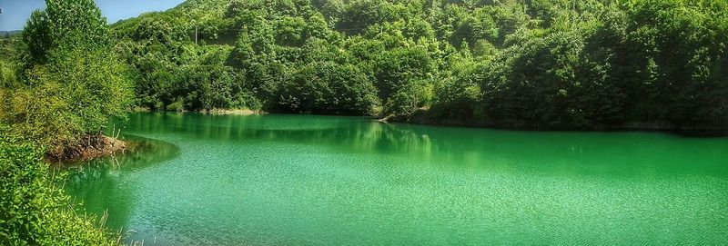 Scenic view of lake in forest against sky