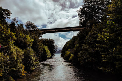 Bridge over river amidst trees in forest against sky