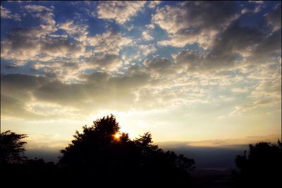 Silhouette trees against sky during sunset