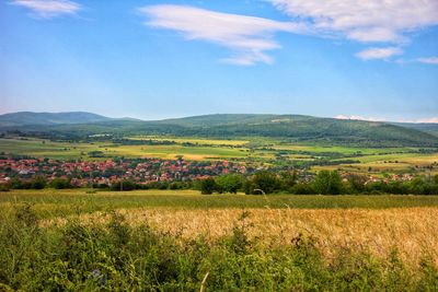 Scenic view of agricultural field against sky