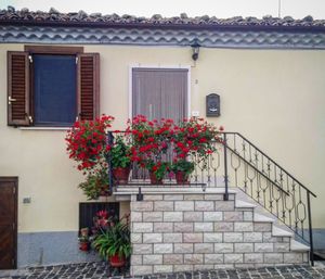 Flower plants outside house