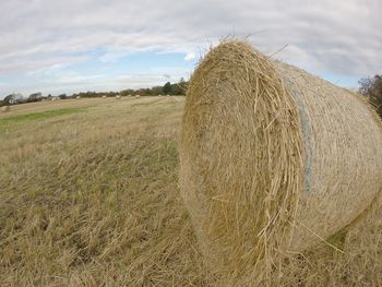 Hay bales on field against sky