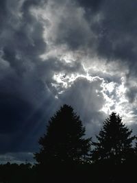 Low angle view of trees against cloudy sky