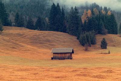 Scenic view of field against trees