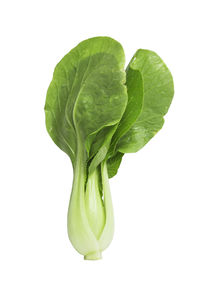 Close-up of green leaf against white background