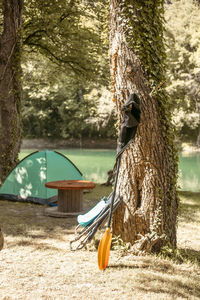 Oar and chair leaning on tree