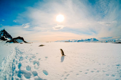 Scenic view of snow covered landscape against sky