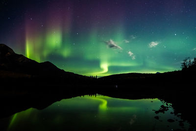 Northern lights from patricia lake in jasper national park