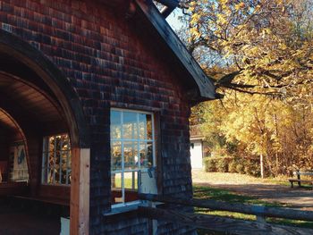 Trees and buildings in park during autumn