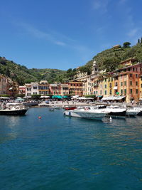 Boats moored at harbor