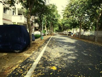 Street amidst trees and buildings in city