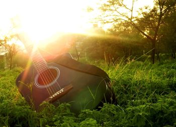 Close-up of guitar on field against bright sun