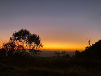 Silhouette trees on field against sky during sunset