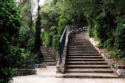 Low angle view of steps amidst trees in forest