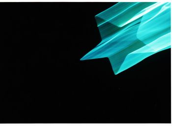 Close-up of leaf over black background