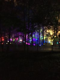 Defocused image of illuminated trees at night