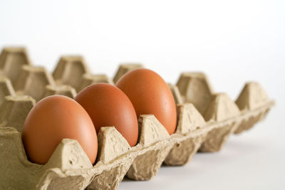 Close-up of eggs against white background