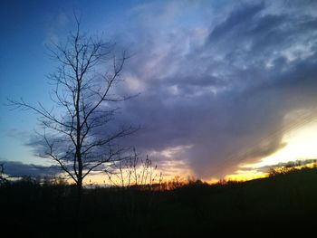 Silhouette bare tree on field against sky at sunset